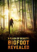 Watch A Flash of Beauty: Bigfoot Revealed Primewire