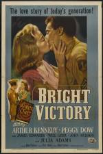 Watch Bright Victory Primewire