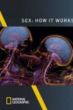 Watch Sex How It Works Primewire