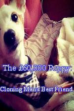 Watch The 60,000 Puppy: Cloning Man's Best Friend Primewire