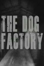 Watch The Dog Factory Primewire