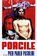 Watch Porcile Primewire