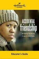 Watch Accidental Friendship Primewire