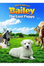 Watch Adventures of Bailey The Lost Puppy Primewire