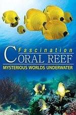 Watch Fascination Coral Reef: Mysterious Worlds Underwater Primewire