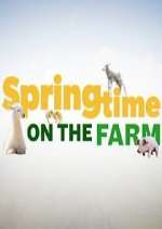 Springtime on the Farm primewire