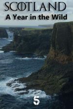 Watch Scotland: A Wild Year Primewire
