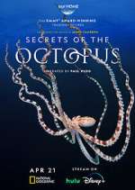Secrets of the Octopus primewire