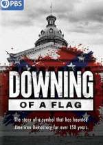 Watch Downing of a Flag Primewire