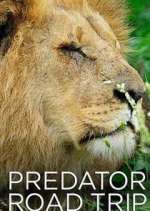 Watch Predator Road Trip Primewire
