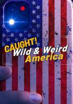 Watch Wild & Weird America Primewire