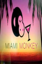 Watch Miami Monkey Primewire