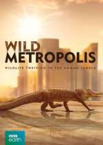 Watch Wild Metropolis Primewire