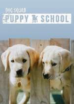Watch Dog Squad: Puppy School Primewire