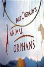Watch Paul O'Grady's Animal Orphans Primewire