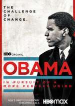 Watch Obama: In Pursuit of a More Perfect Union Primewire